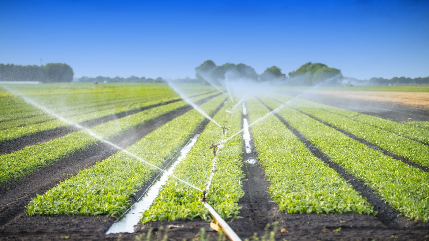 Exploitation agricole protégée avec un groupe électrogène GELEC Energy
